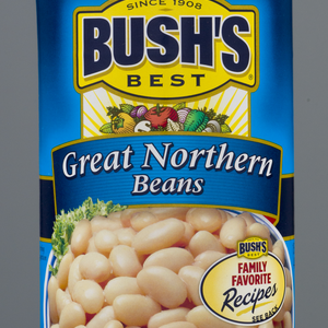 BUSHS BEST GREAT NORTHERN 15.8OZ