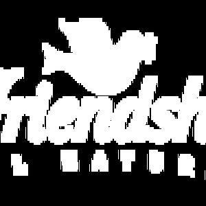 Friendship Low Fat Vanilla 32 oz